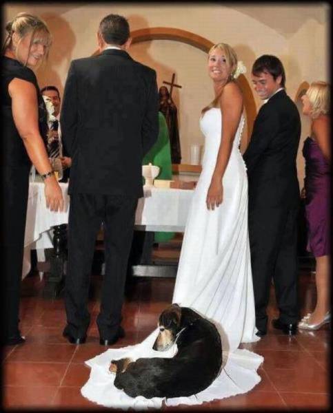 daily picdump 106 pics 2.html - 106 HD Photos | Premium Gallery 2017