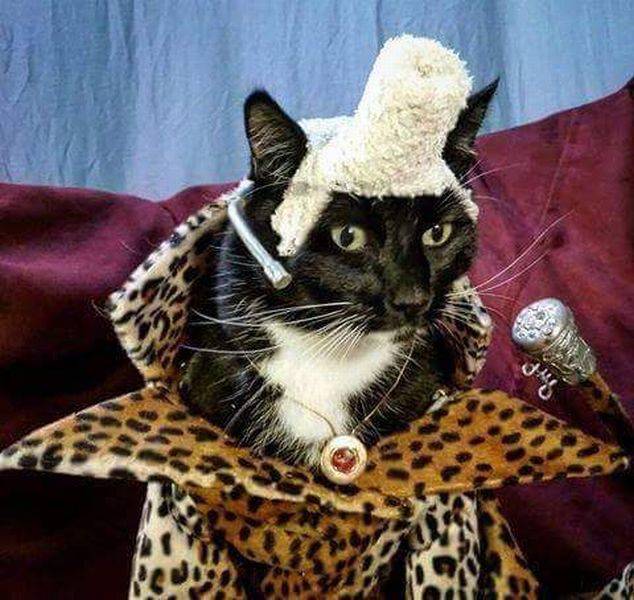 daily picdump 106 pics 2.html - 106 HD Photos | Premium Gallery 2017
