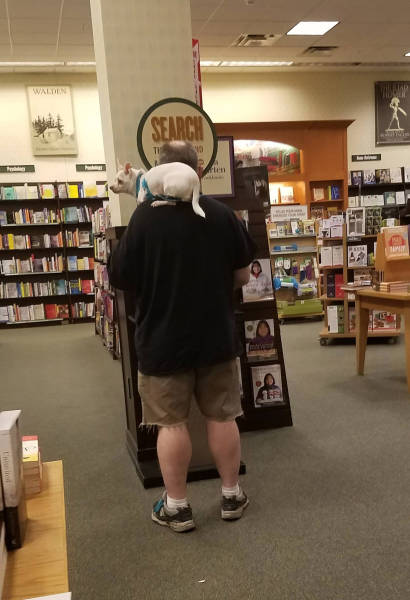morning picdump 50 pics 4.html - 50 HD Photos | Premium Gallery 2017