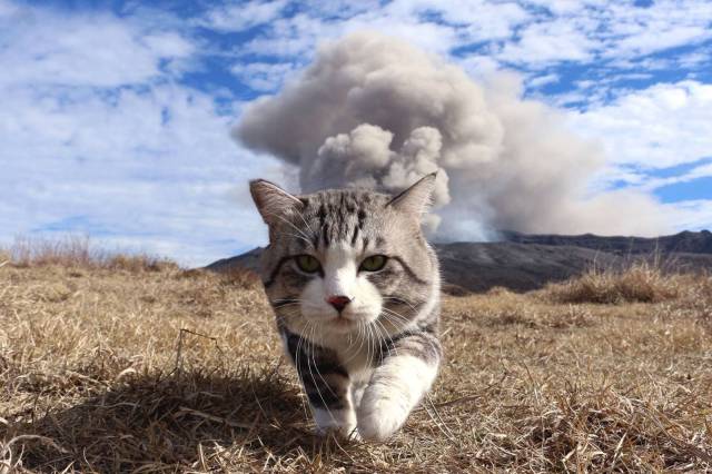 Daily Picdump