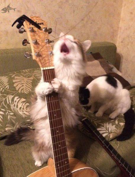 daily picdump 92 pics 10.html - 92 HD Photos | Premium Gallery 2017