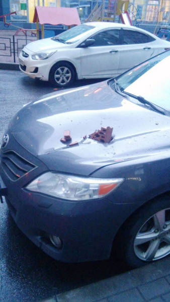 Morning Picdump