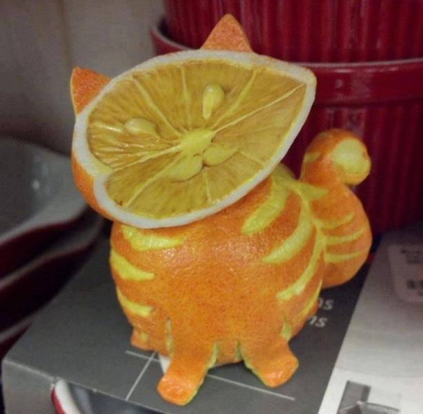 morning picdump 50 pics 14.html - 50 HD Photos | Premium Gallery 2017