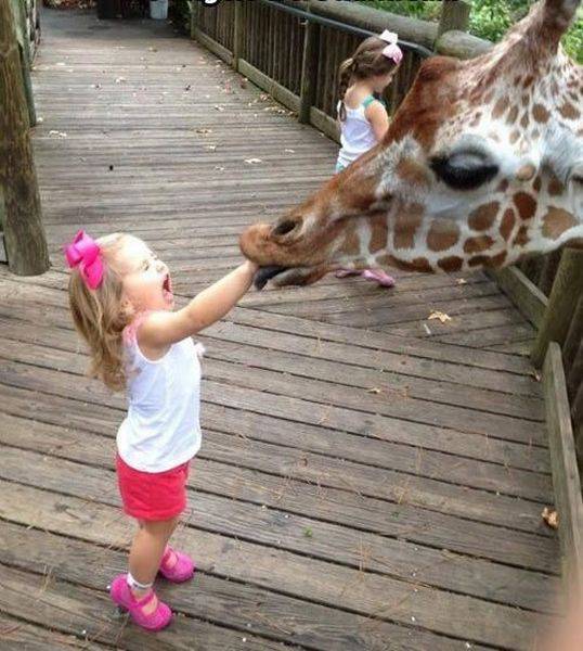 Daily Picdump [WEEKEND EDITION]