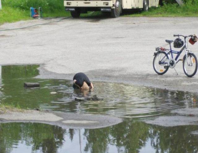 Daily Picdump