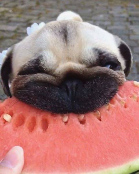 daily picdump 95 pics 34.html - 95 HD Photos | Premium Gallery 2017