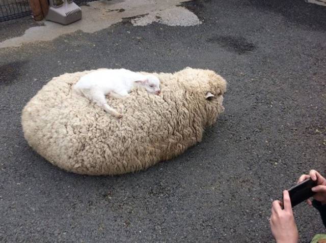 Morning Picdump