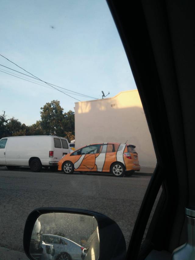 Morning Picdump