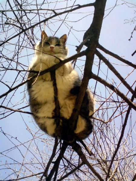 Daily Picdump [WEEKEND EDITION]