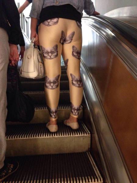 daily picdump 102 pics 22.html - 102 HD Photos | Premium Gallery 2017