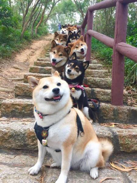 daily picdump 102 pics 22.html - 102 HD Photos | Premium Gallery 2017