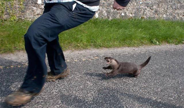 Daily Picdump