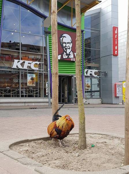 daily picdump 98 pics 21.html - 98 HD Photos | Premium Gallery 2017