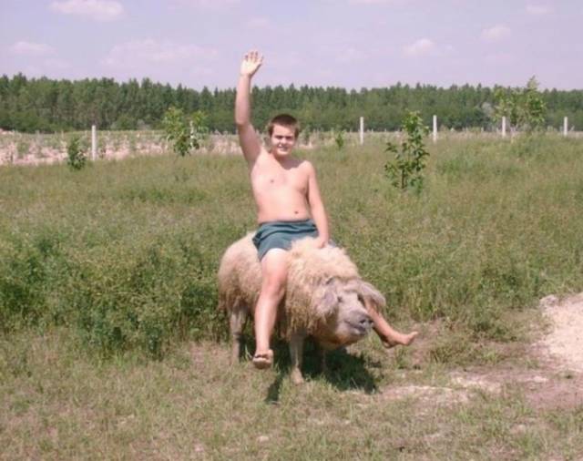 daily picdump 98 pics 21.html - 98 HD Photos | Premium Gallery 2017