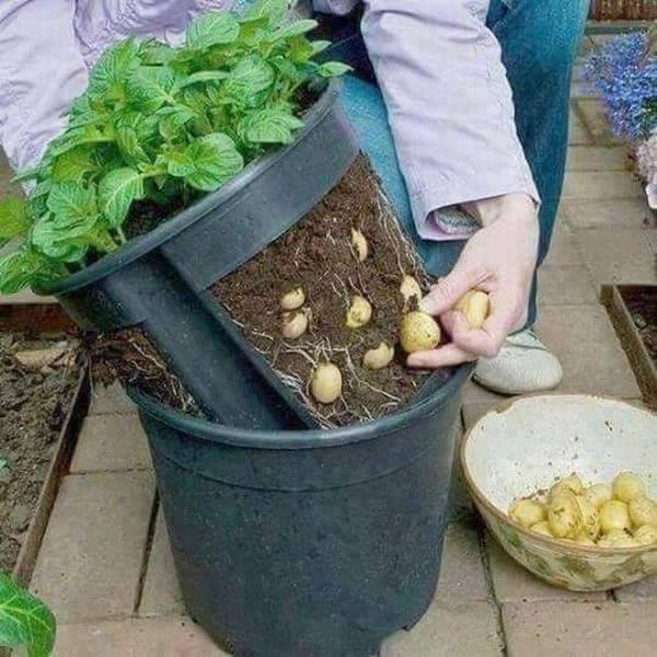 daily picdump 98 pics 21.html - 98 HD Photos | Premium Gallery 2017