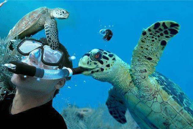 Morning Picdump