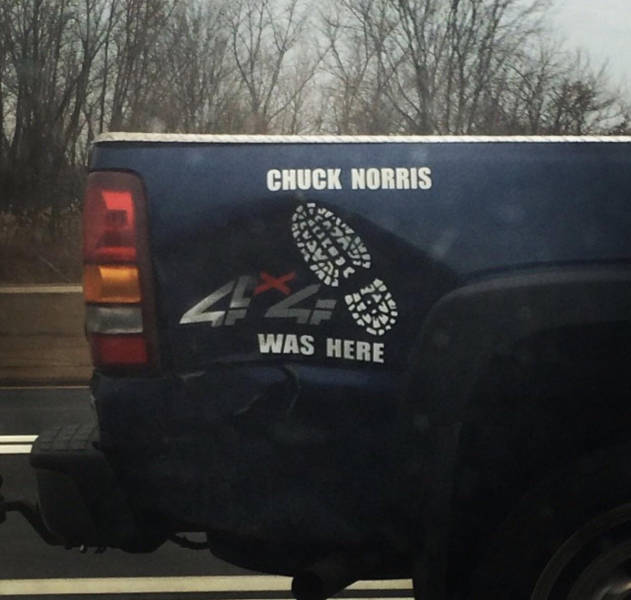 Morning Picdump