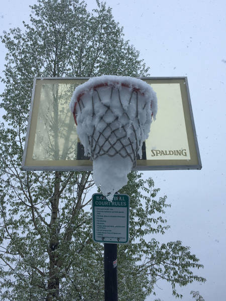Morning Picdump