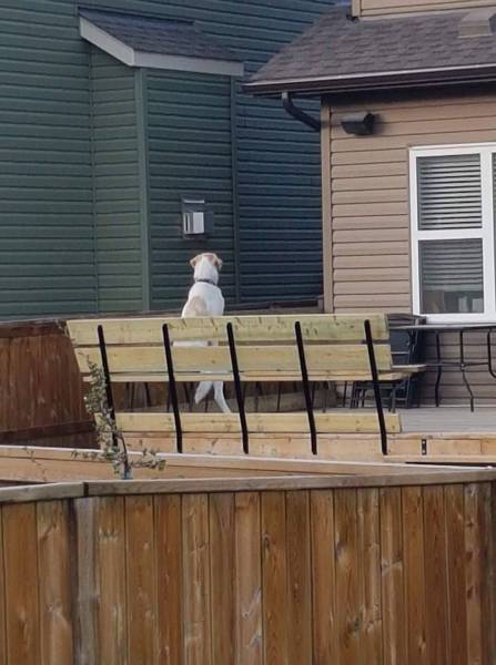 Morning Picdump