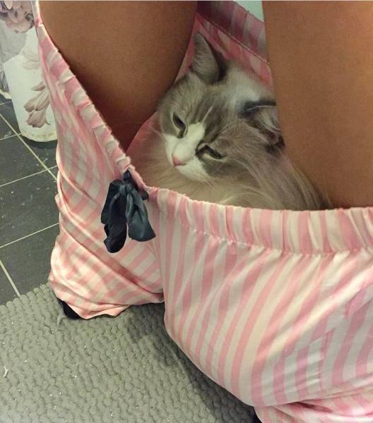 morning picdump 51 pics 21.html - 51 HD Photos | Premium Gallery 2017