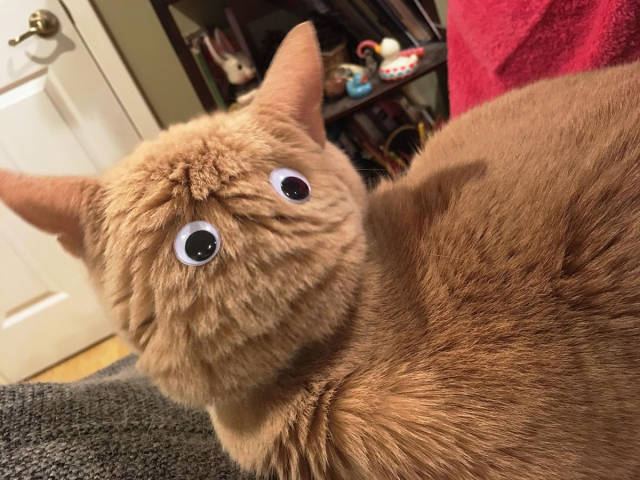 morning picdump 54 pics 7.html - 54 HD Photos | Premium Gallery 2017