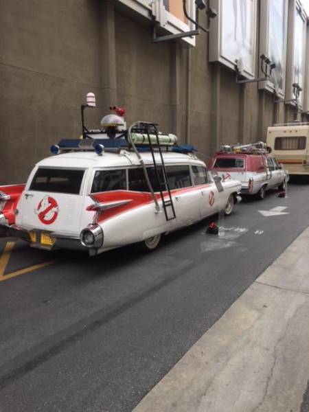 Morning Picdump