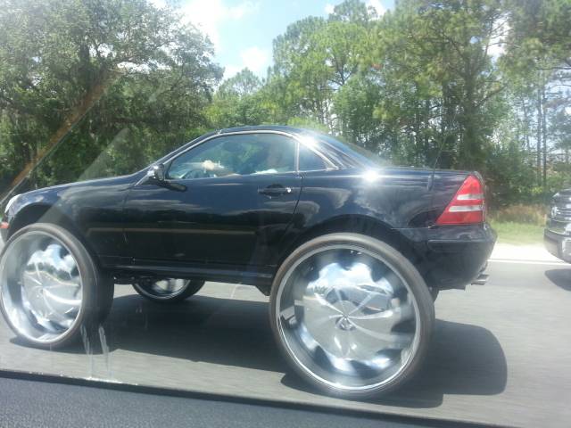 Morning Picdump