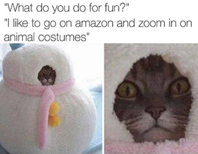 funny picdump 51 pics 4.html - 51 HD Photos | Premium Gallery 2017