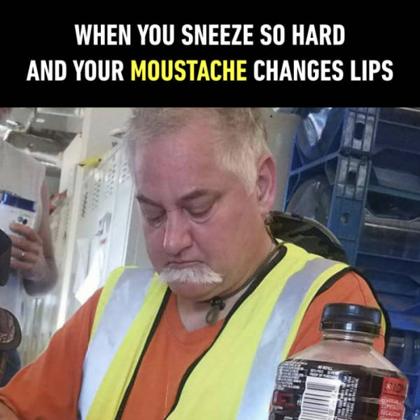 funny picdump 51 pics 4.html - 51 HD Photos | Premium Gallery 2017