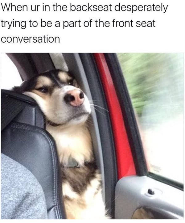 funny picdump 51 pics 4.html - 51 HD Photos | Premium Gallery 2017