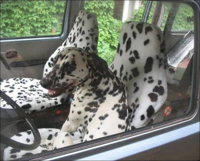 daily picdump 82 pics 1.html - 82 HD Photos | Premium Gallery 2017