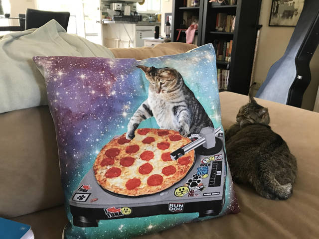 Morning Picdump