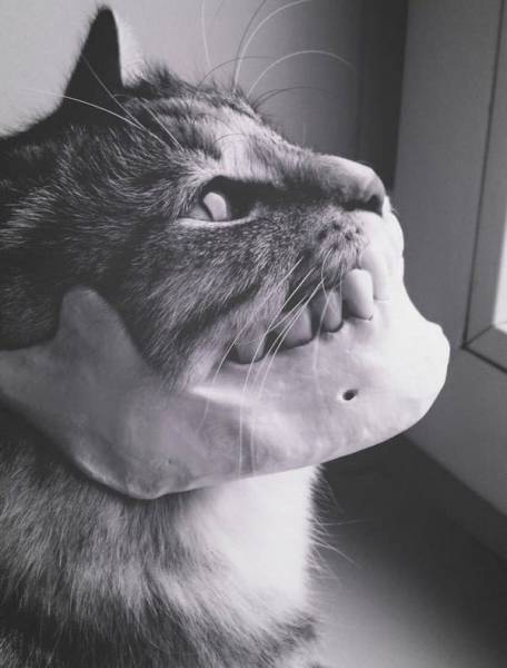 morning picdump 50 pics 10.html - 50 HD Photos | Premium Gallery 2017