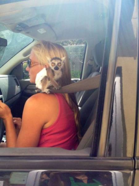 It’s Better Not To Let Girls Drive…