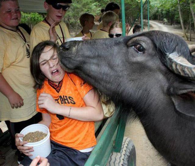 funny picdump 53 pics 11.html - 53 HD Photos | Premium Gallery 2017