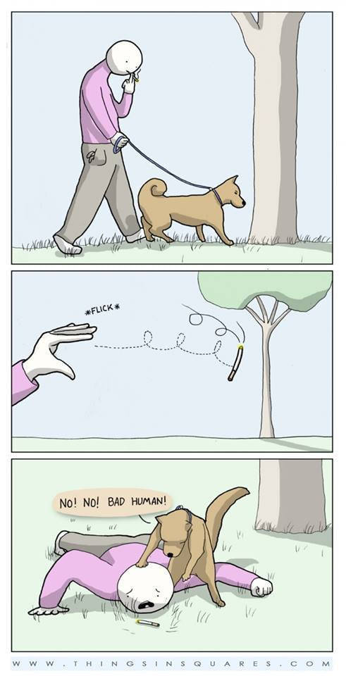Funny Picdump