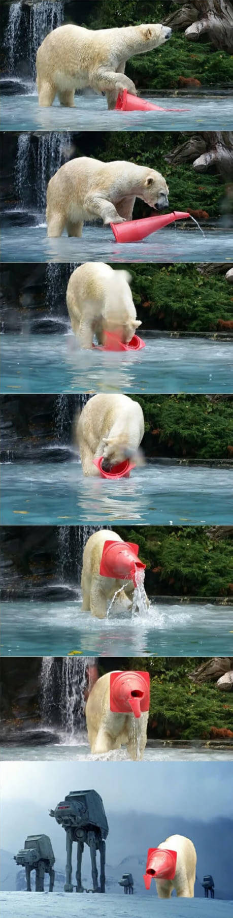 Funny Picdump