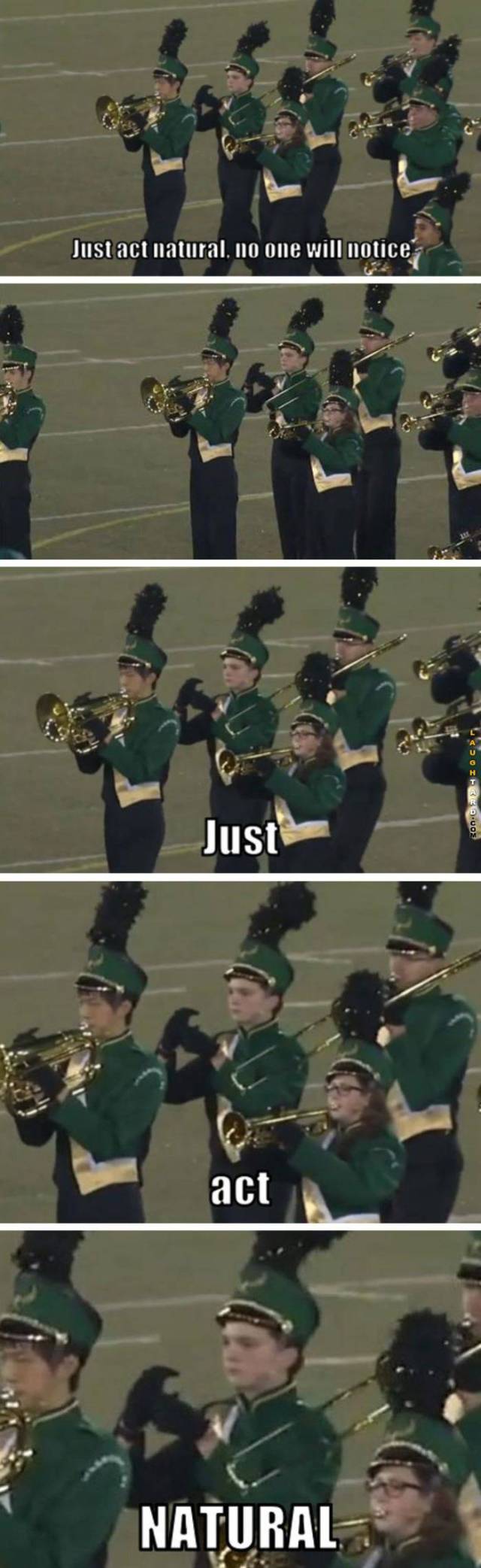 funny picdump 53 pics 11.html - 53 HD Photos | Premium Gallery 2017