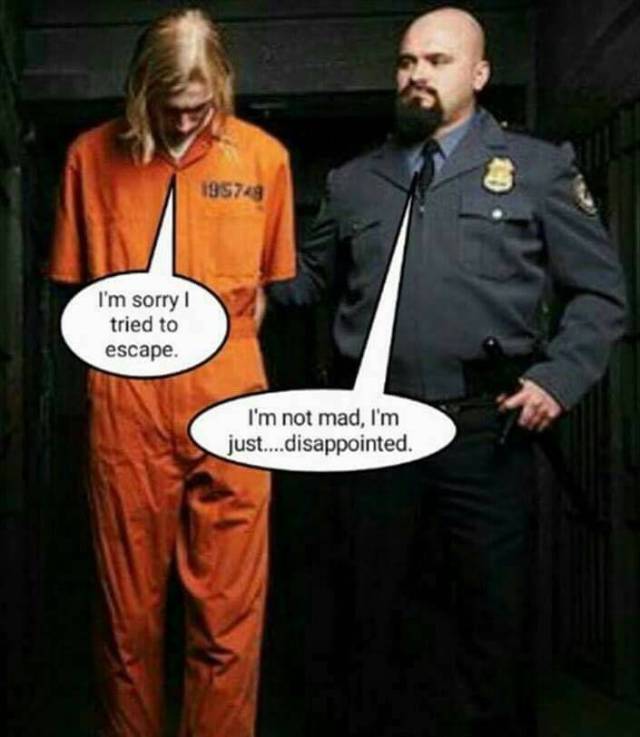 funny picdump 53 pics 11.html - 53 HD Photos | Premium Gallery 2017