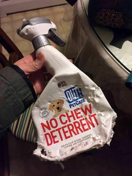 morning picdump 51 pics 12.html - 51 HD Photos | Premium Gallery 2017