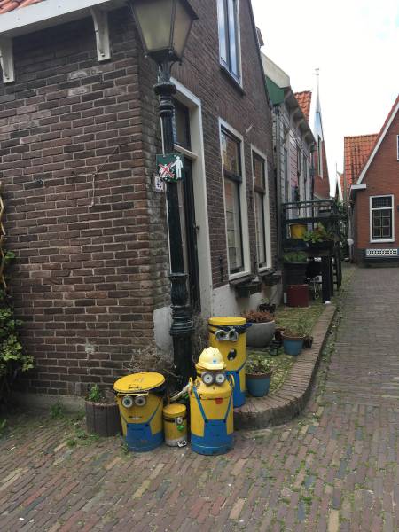 Morning Picdump