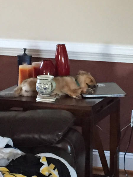 morning picdump 50 pics 12.html - 50 HD Photos | Premium Gallery 2017