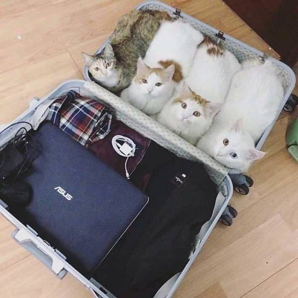 morning picdump 50 pics 21.html - 50 HD Photos | Premium Gallery 2017