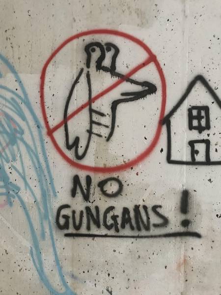 Funny Picdump