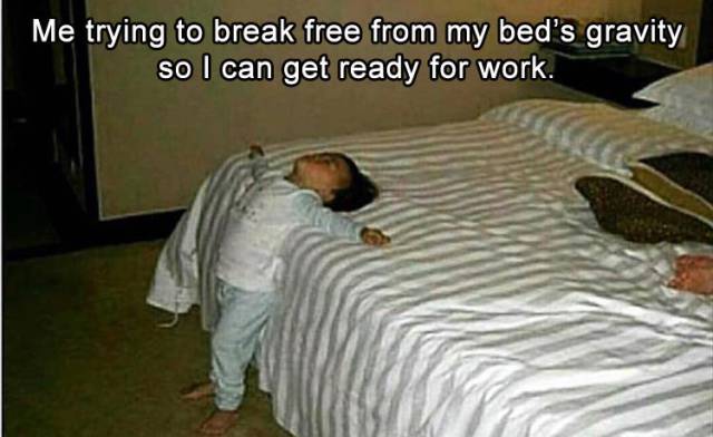 Funny Picdump