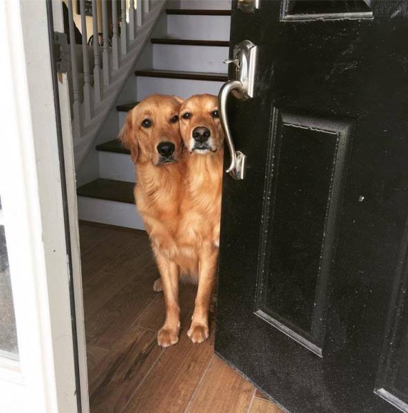 Morning Picdump