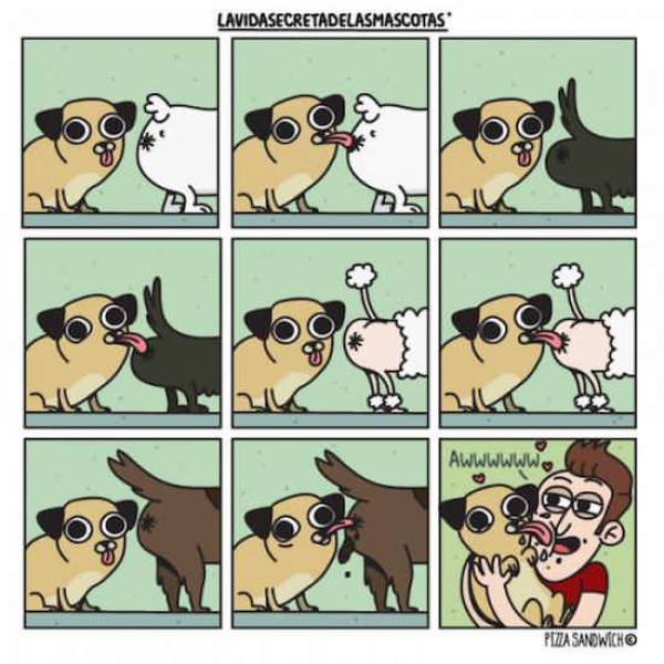 Funny Picdump
