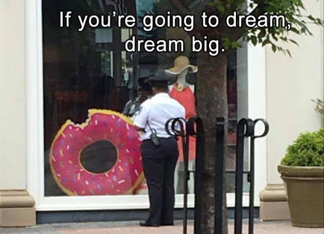 Funny Picdump