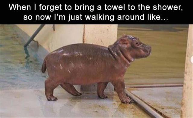 Funny Picdump