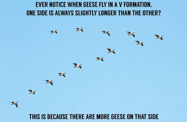 funny picdump 50 pics 1.html - 50 HD Photos | Premium Gallery 2017